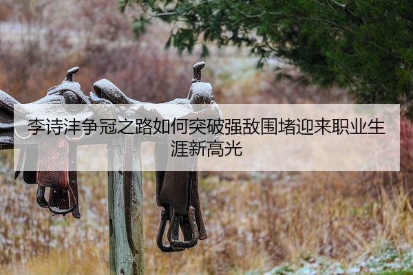 李诗沣争冠之路如何突破强敌围堵迎来职业生涯新高光